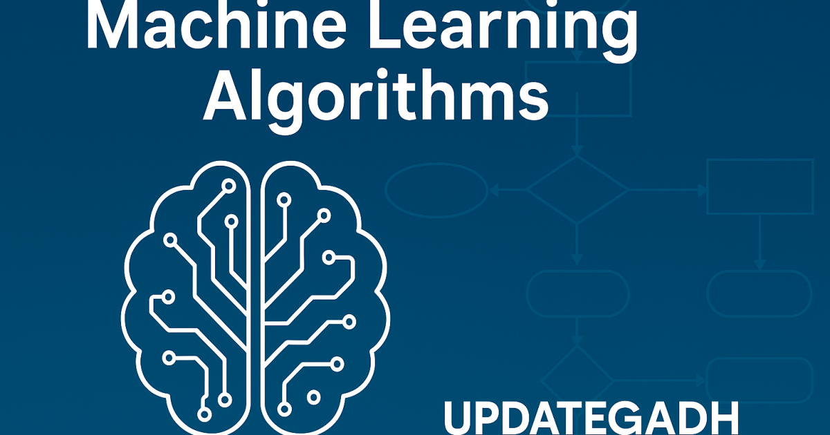 Machine Learning Algorithms